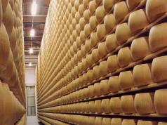 Emmental cheese - the king of cheeses