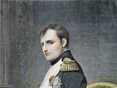 नेपोलियन II: चरित्र आणि मनोरंजक तथ्ये